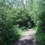 روستای مجدر