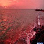 ساحل شنی تیس