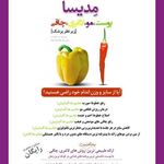 زیبایی مدیسا