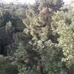 باغ زیبا