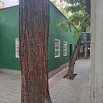 سرویس بهداشتی