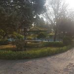 باغ زیبا