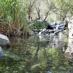 مسیر کوه نوردی به سمت قله دارآباد