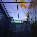 محمدرضا میرزایی سندی