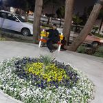 پارک ولیعصر