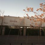 باشگاه فرهنگی ورزشی آرارات