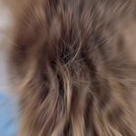 مرکز تخصصی رنگ٬لایت و کراتین بهناز مرادی