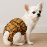 پت شاپ پانتی پت