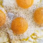 رستوران آشپزخانه برادران