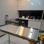 کلینیک دامپزشکی کیا پت
