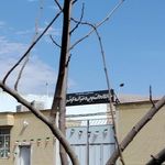 خوابگاه دانشکده کشاورزی