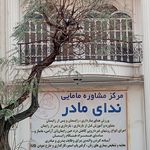 سهیلا نجفی
