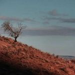 پارک ملی خجیر