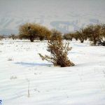 پارک ملی خجیر