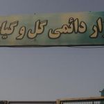 بازار دائمی گل وگیاه قم