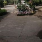 بازار دائمی گل وگیاه قم