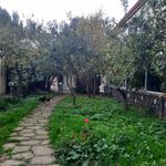 رستوران ممتاز