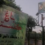 بازار دائمی گل وگیاه قم