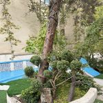 فروش گياه گلخانه زيتون