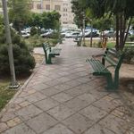 بوستان بنفشه