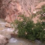 تنگه و آبشار داستان