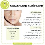 دکتر مجید جمشیدی