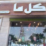 گل فروشی هیرکانیا