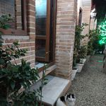 فودکورت ویولند