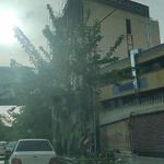 سرپرستی بانک قرض الحسنه مهر ایران استان اصفهان