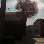 ساندویچ گلبرگ
