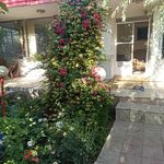 باغ ویلا پیمان