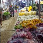 بازار گل شهید محلاتی