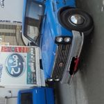 پخش لبنیات قاسمی(صباح)