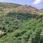مسجد داشدبی