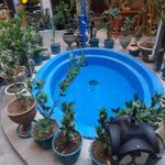 کافه کتاب دارالخلافه