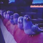 آنلاین شاپmahposhshap