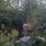 ویلا باغی دکتر جمشیدی