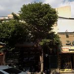 فروشگاه اسپرت پادرا