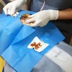 مرکز لیزر و کلینیک زیبایی دکتر خانجانی