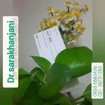 مرکز لیزر و کلینیک زیبایی دکتر خانجانی