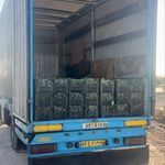 موسسه حمل و نقل کرمان بار ، باربری کرمان