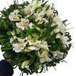 گل فروشی آندیا (شعبه یک)