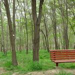 پارک جنگلی طرق