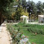 پارک جنگلی طرق