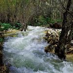 آبشار نره گر