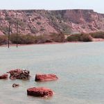 تالاب لیپار