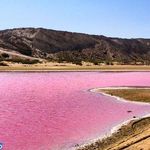 تالاب لیپار