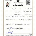 سعید عنابستانی