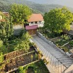 خانه و سوئیت اجاره ای علیزاده