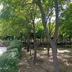 بوستان پرستو